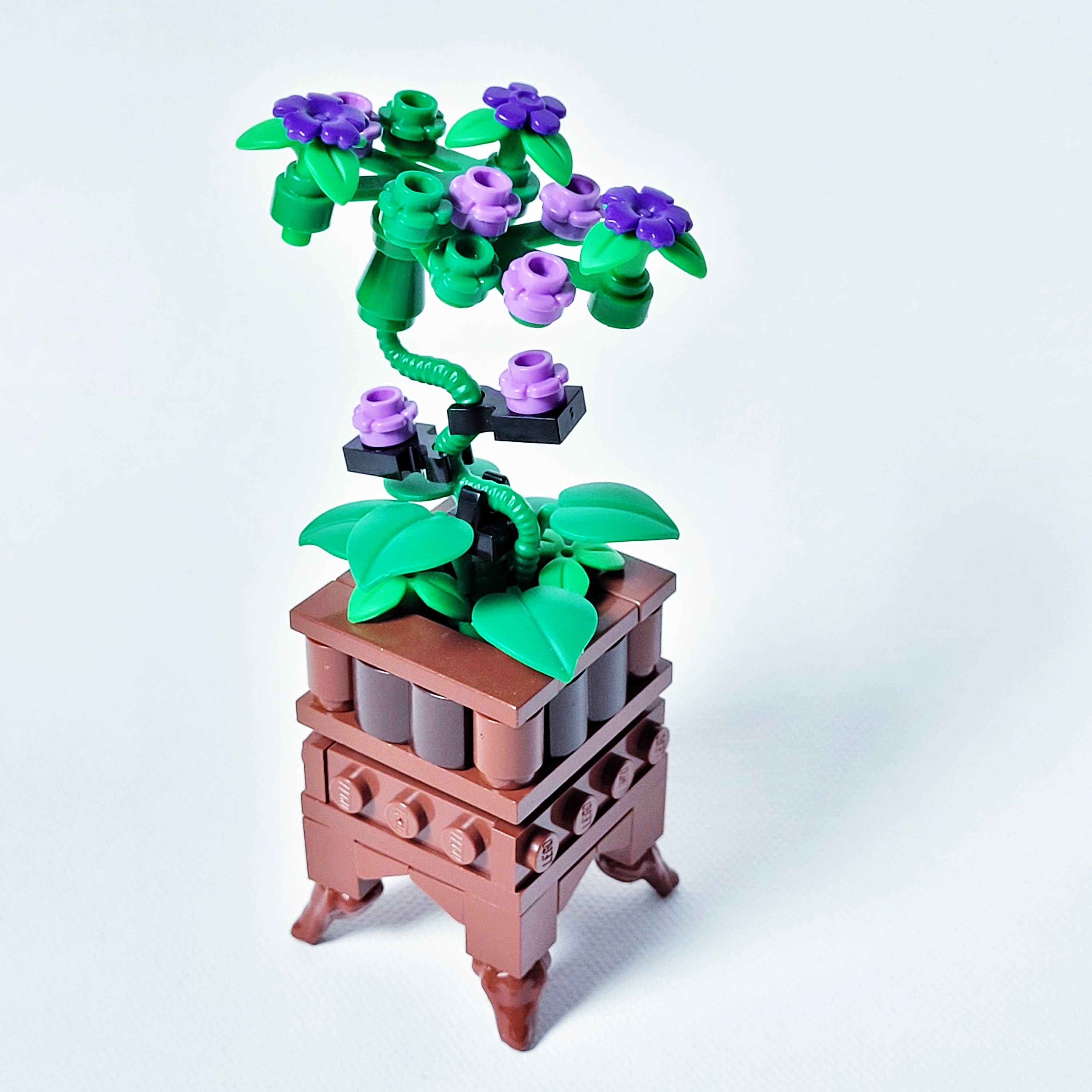 Violet Potted Plant