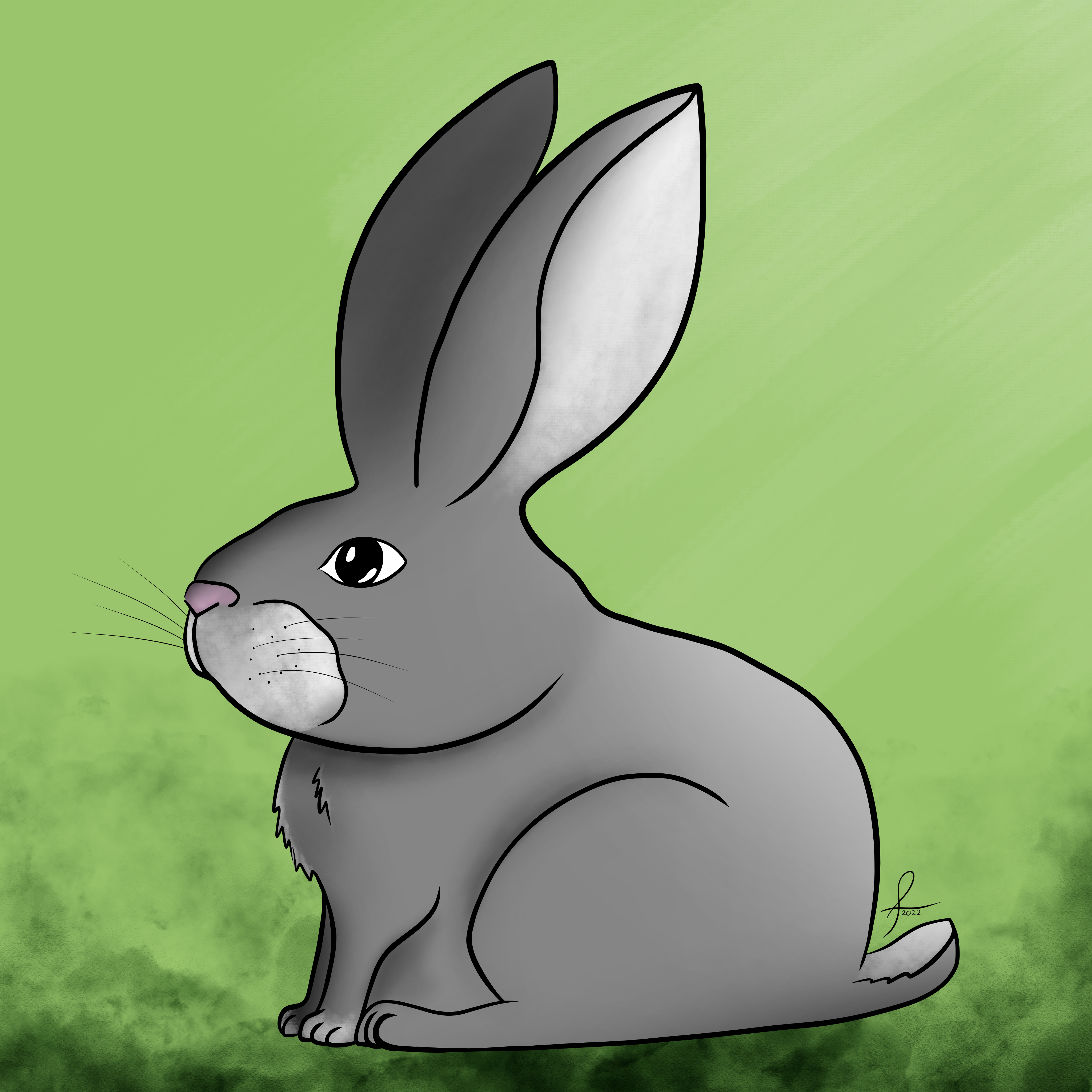 Grey Bunny