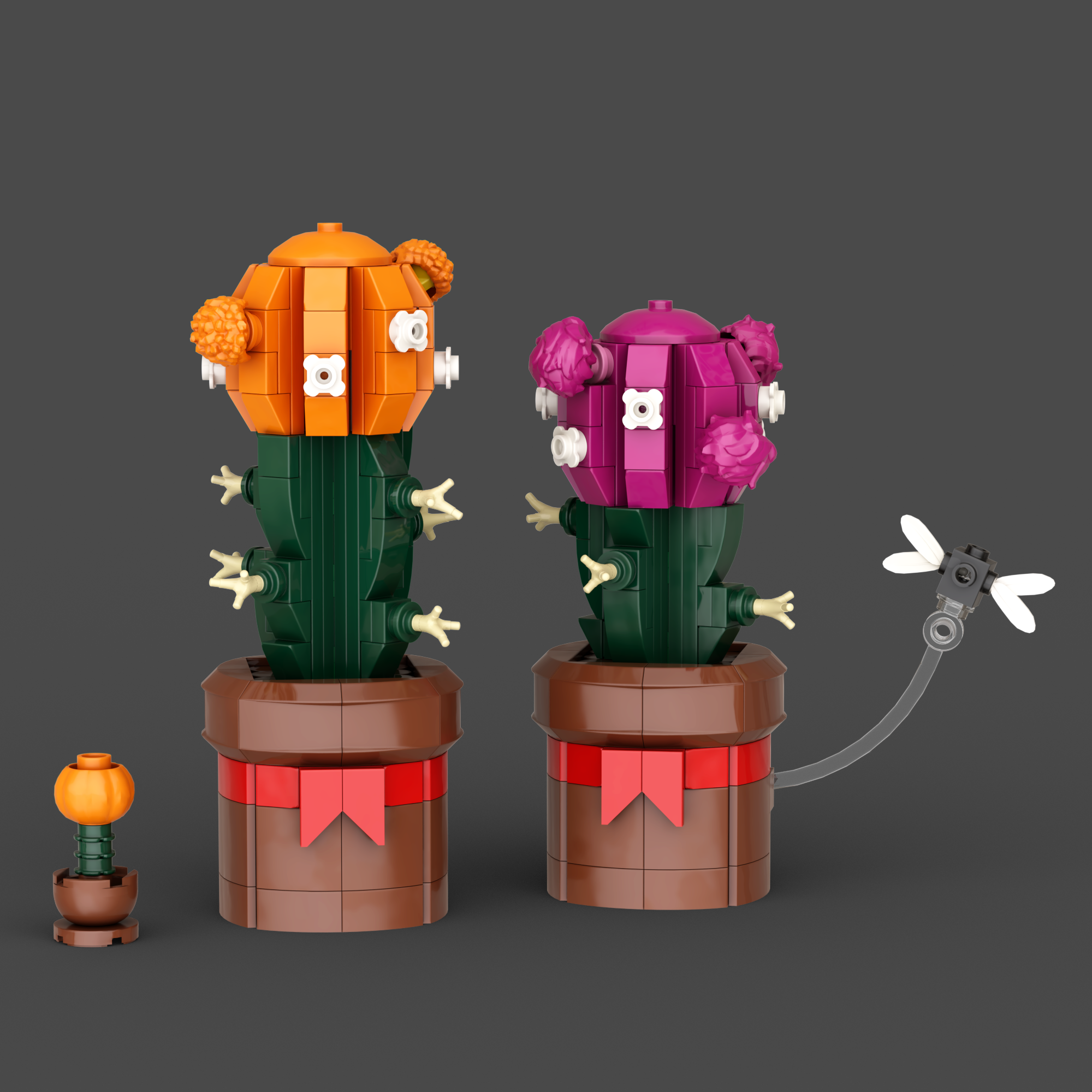 Moon Cactus Gift Set