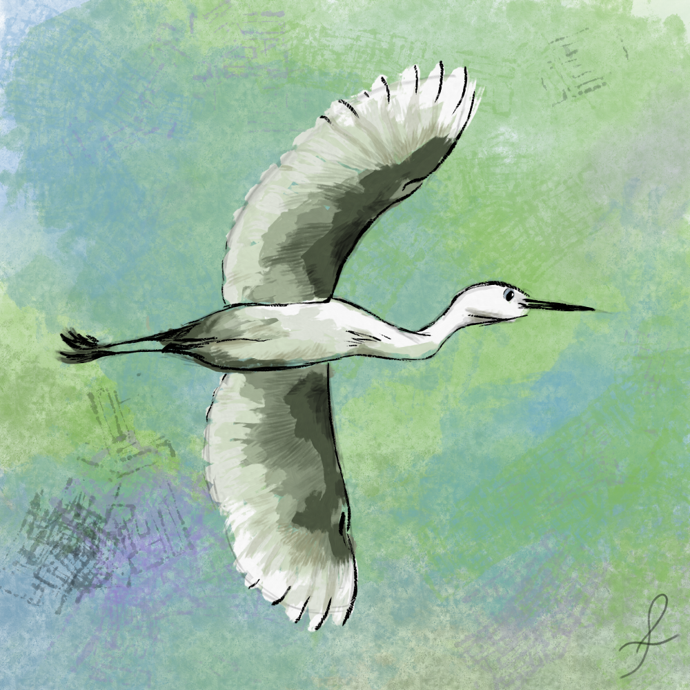 A Study in Flight