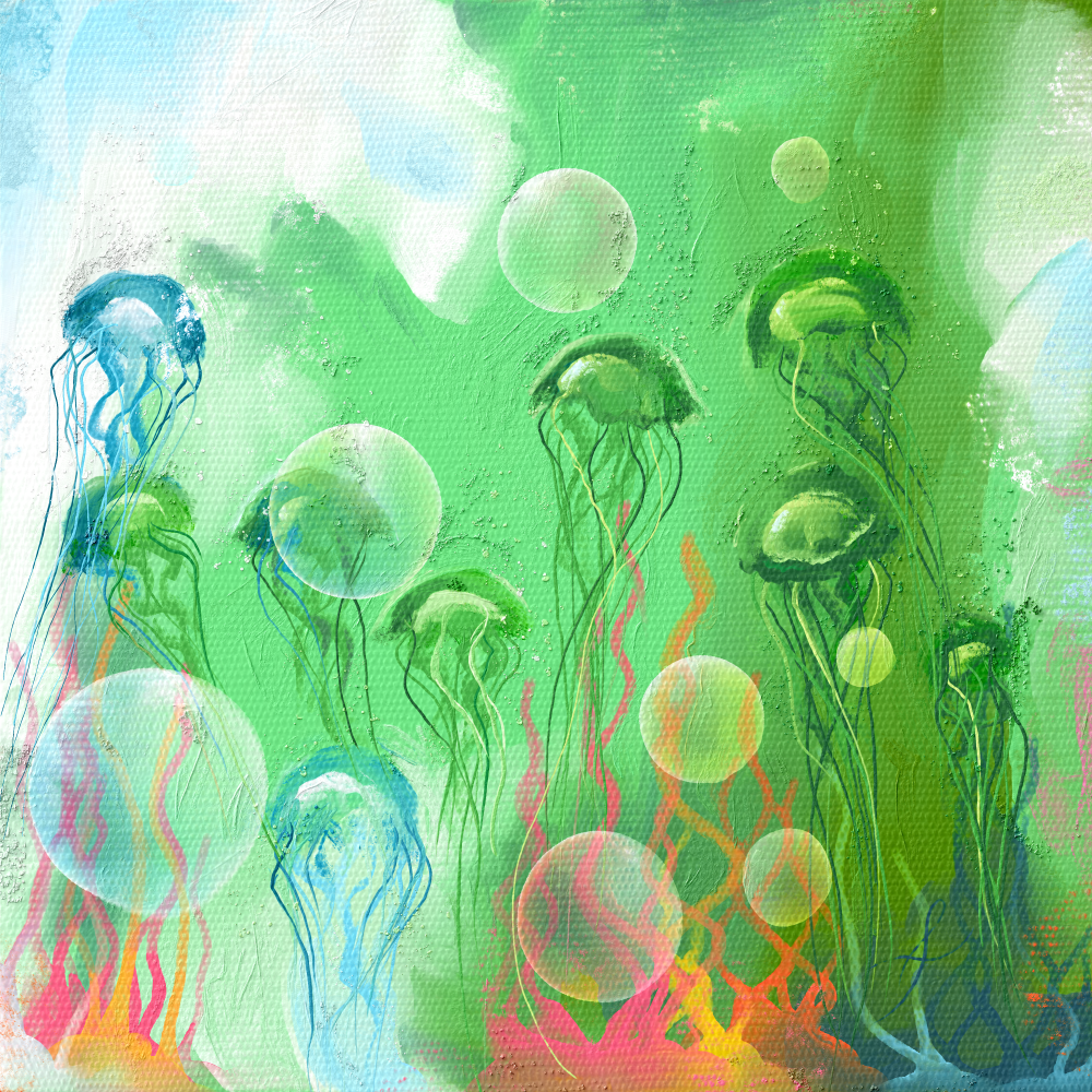 Jellyfish Wonderland