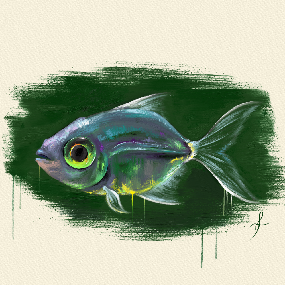 Gourami